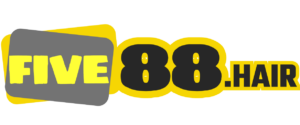 logo five88.hair