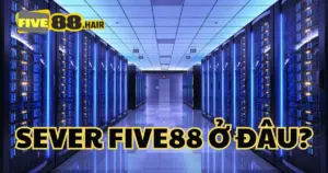 Server Five88 - Hướng Dẫn Truy Cập và Giải Quyết Vấn Đề Thường Gặp