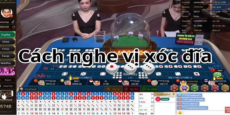 Các loại bảng vị xóc đĩa